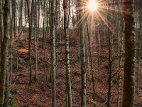 2013.10.31_134454_Auerberg und Königsschlösser Herbst_HDR.jpg